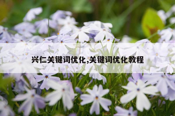 兴仁关键词优化,关键词优化教程