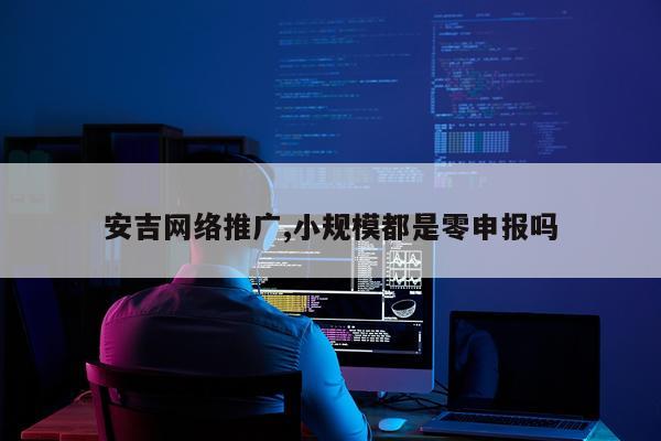 安吉网络推广,小规模都是零申报吗